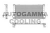 AUTOGAMMA 105069 Intercooler, charger